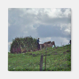 Amish Harvest Magnet