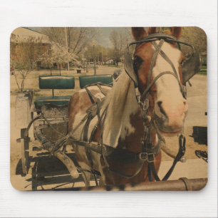 Amish Horse, A Pinto Mouse Mat