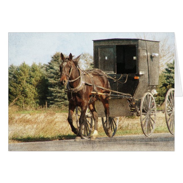 Amish Horse and Buggy (Front Horizontal)