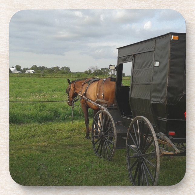 Amish Horse and Buggy at Sunset Coaster (Front)