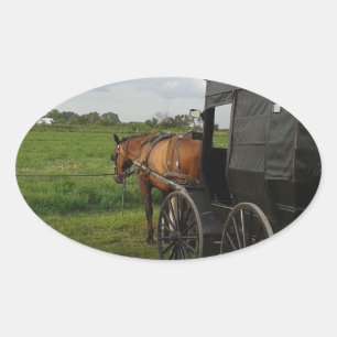 Amish Horse and Buggy at Sunset in Frytown Oval Sticker