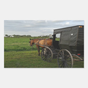 Amish Horse and Buggy at Sunset Rectangular Sticker
