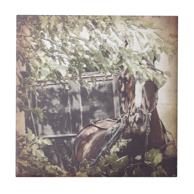 Amish Horse and Buggy in the Shade Tile (Front)