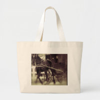 Amish Horse And Buggy