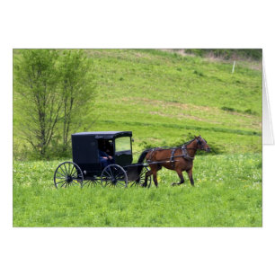 Amish horse and buggy near Berlin, Ohio.