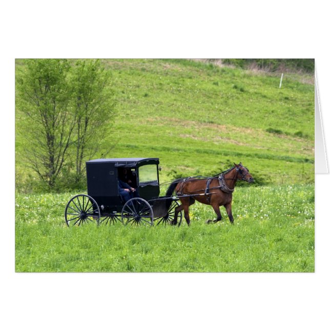Amish horse and buggy near Berlin, Ohio. (Front Horizontal)