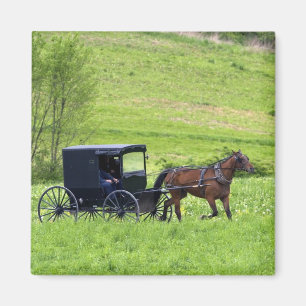 Amish horse and buggy near Berlin, Ohio. Magnet