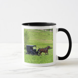 Amish horse and buggy near Berlin, Ohio. Mug