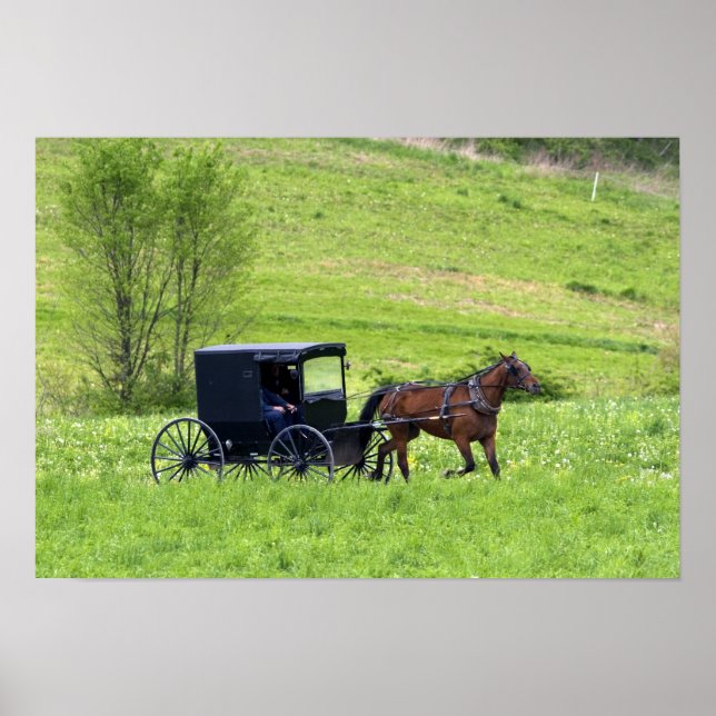 Amish horse and buggy near Berlin, Ohio. Poster (Front)