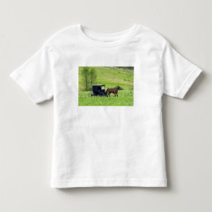 Amish horse and buggy near Berlin, Ohio. Toddler T-Shirt
