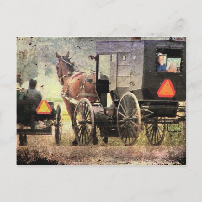 Amish Horse and Buggy Postcard (Front)