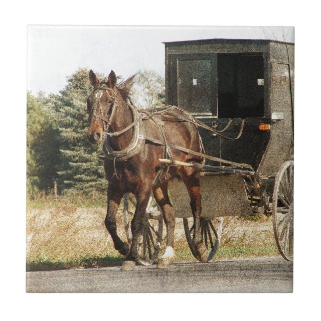 Amish Horse and Buggy Tile (Front)
