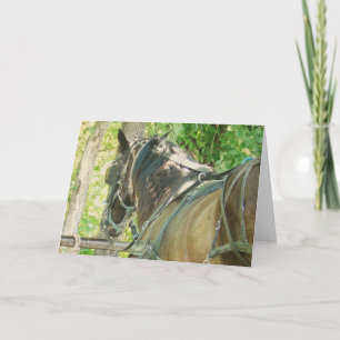 Amish Horse at Hitching Post Card