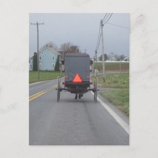 Amish Horse & Buggy Postcard