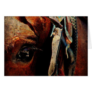 Amish Horse Eye