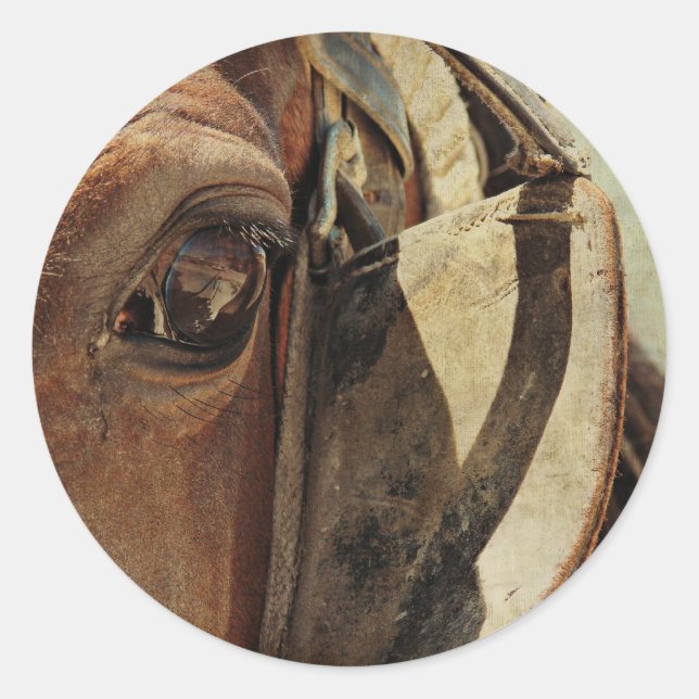 Amish Horse Eye Classic Round Sticker (Front)