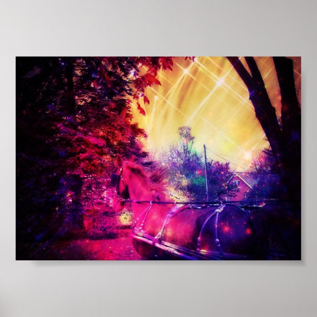 Amish Horse Fun Poster (Front)