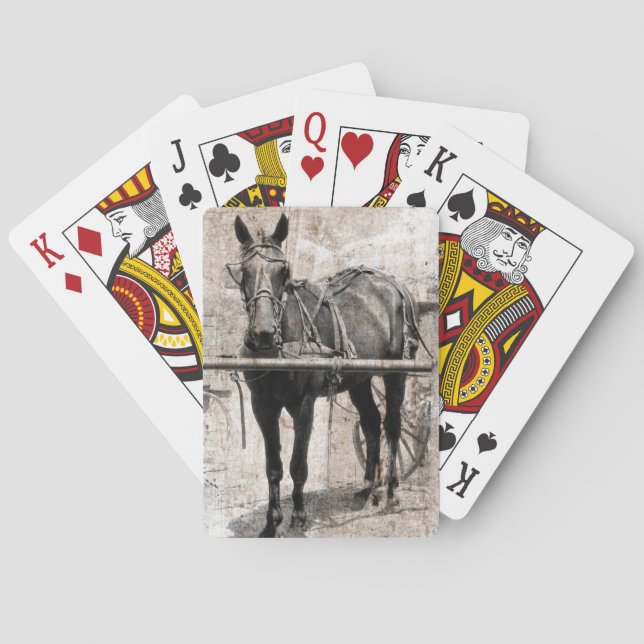 Amish horse grunge playing cards (Back)