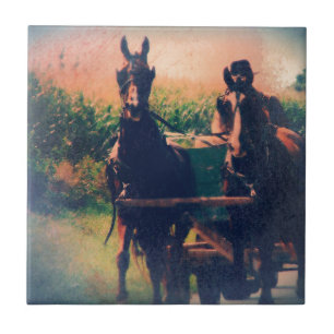 Amish Horse Team Tile