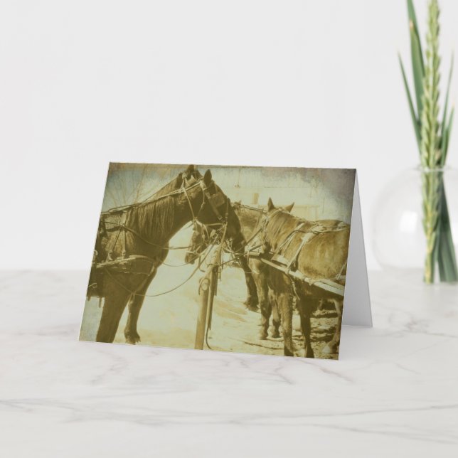 Amish Horses, Birthday Card (Front)