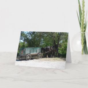 Amish Horses Card