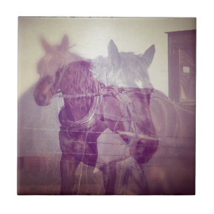 Amish horses digital collage tile