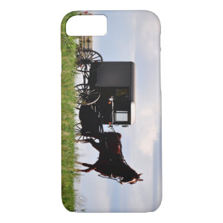 Amish IPhone case