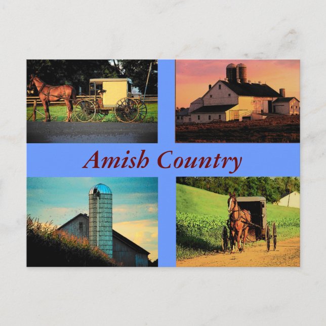Amish Montage Postcard (Front)
