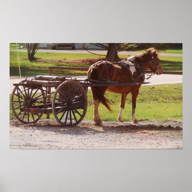 Amish Pony Cart Poster (Front)