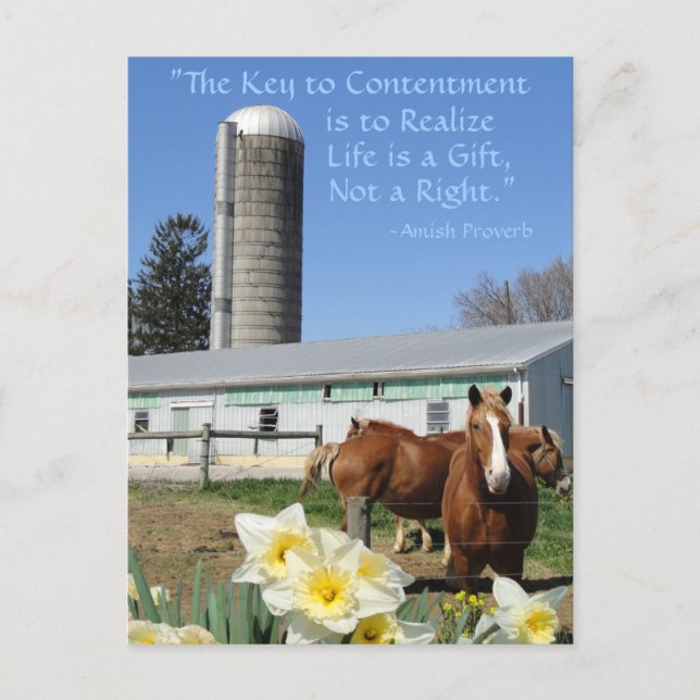 Amish Postcard Life is a Gift. Add Your Text. (Front)