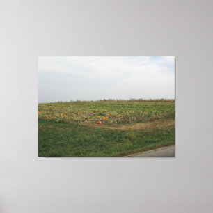 Amish Pumpkin Patch Farm Photography Wall Art