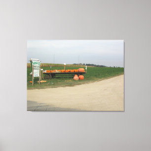 Amish Pumpkin Patch Farm Photography Wall Art
