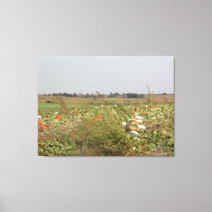 Amish Pumpkin Patch Farm Photography Wall Art