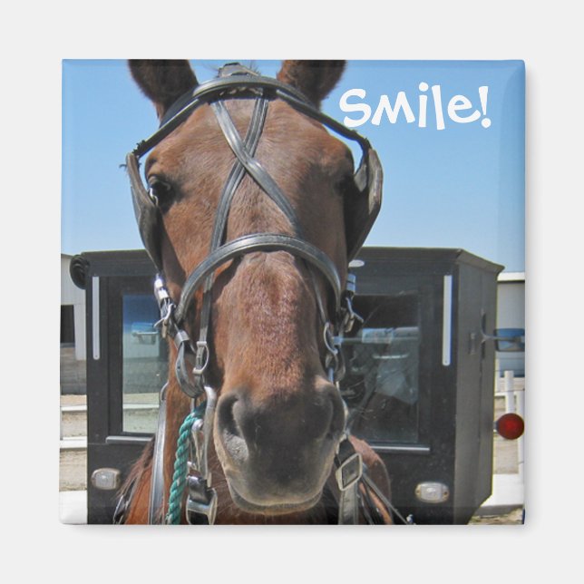 Amish Smile ;o) Magnet (Front)