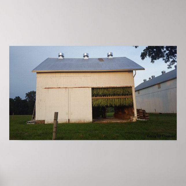 Amish Tobacco Barn/Pennsylvania Poster (Front)