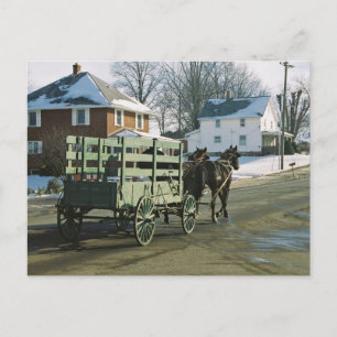 Amish U-Haul Postcard