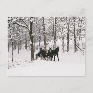 Amish Winter Snow Scene-Postcard Postcard