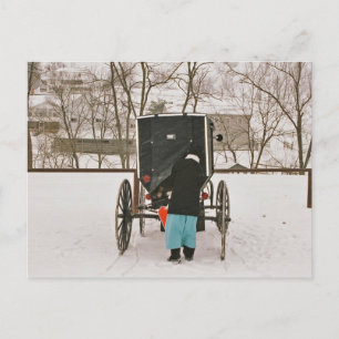 Amish Woman Loading Buggy- Postcard
