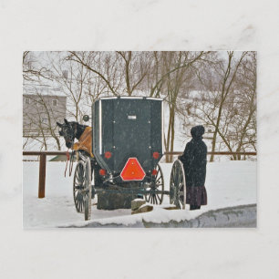 Amish Woman With Horse and Buggy-Postcard Postcard