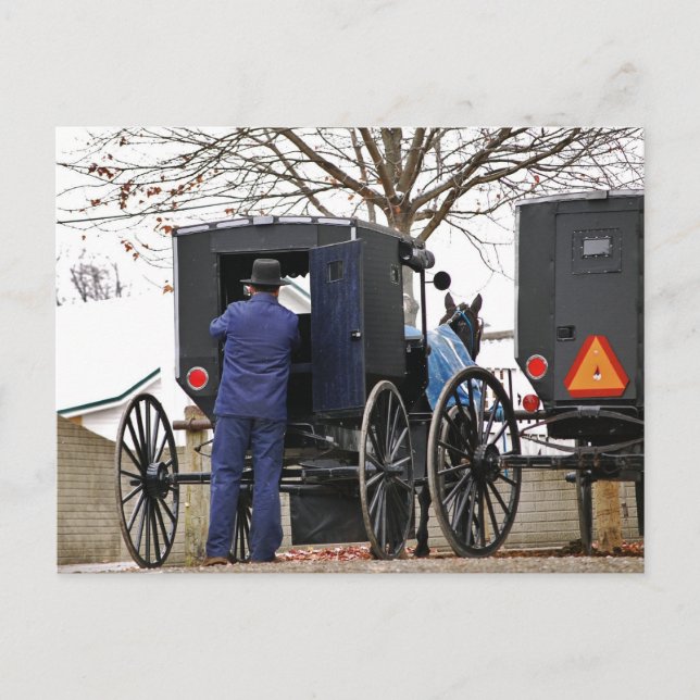 Amishman Loading Buggy Postcard (Front)