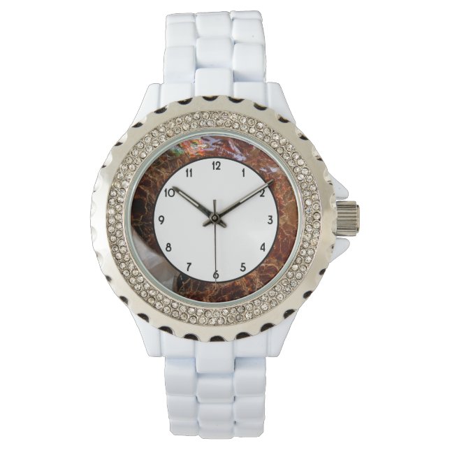 Ammolite Ammonite Watch (Front)