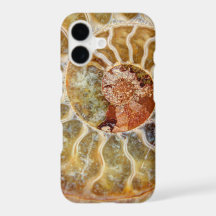 Ammonite