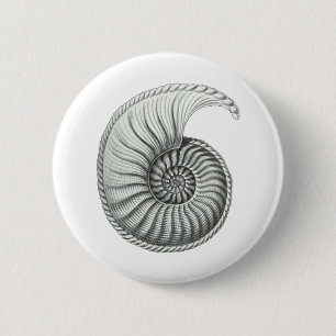 Ammonite 6 Cm Round Badge