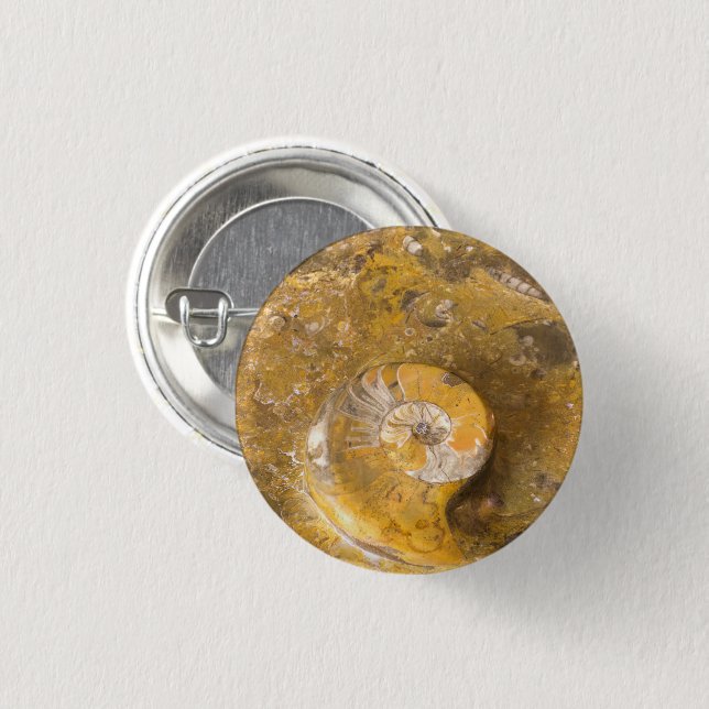 Ammonite and Other Fossils in Rock Photo 3 Cm Round Badge (Front & Back)
