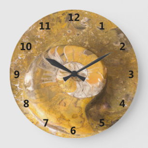 Ammonite and Other Fossils in Rock Photography Large Clock