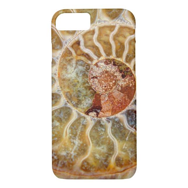 Ammonite Case-Mate iPhone Case (Back)