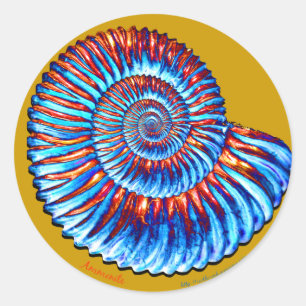Ammonite fossil classic round sticker