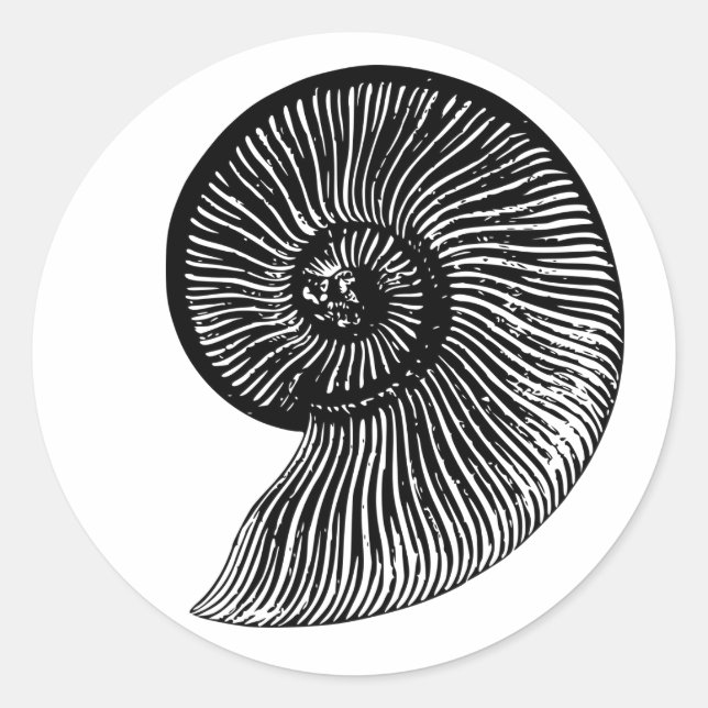 Ammonite Fossil Classic Round Sticker (Front)