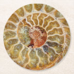 Ammonite Fossil Coaster<br><div class="desc">A photograph of the polished cross section of an ammonite fossil decorates this coaster.</div>