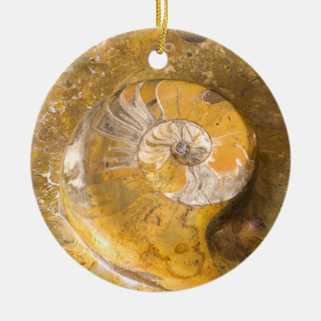 Ammonite Fossil Rock Nature Photography Ceramic Or Ceramic Tree Decoration (Front)